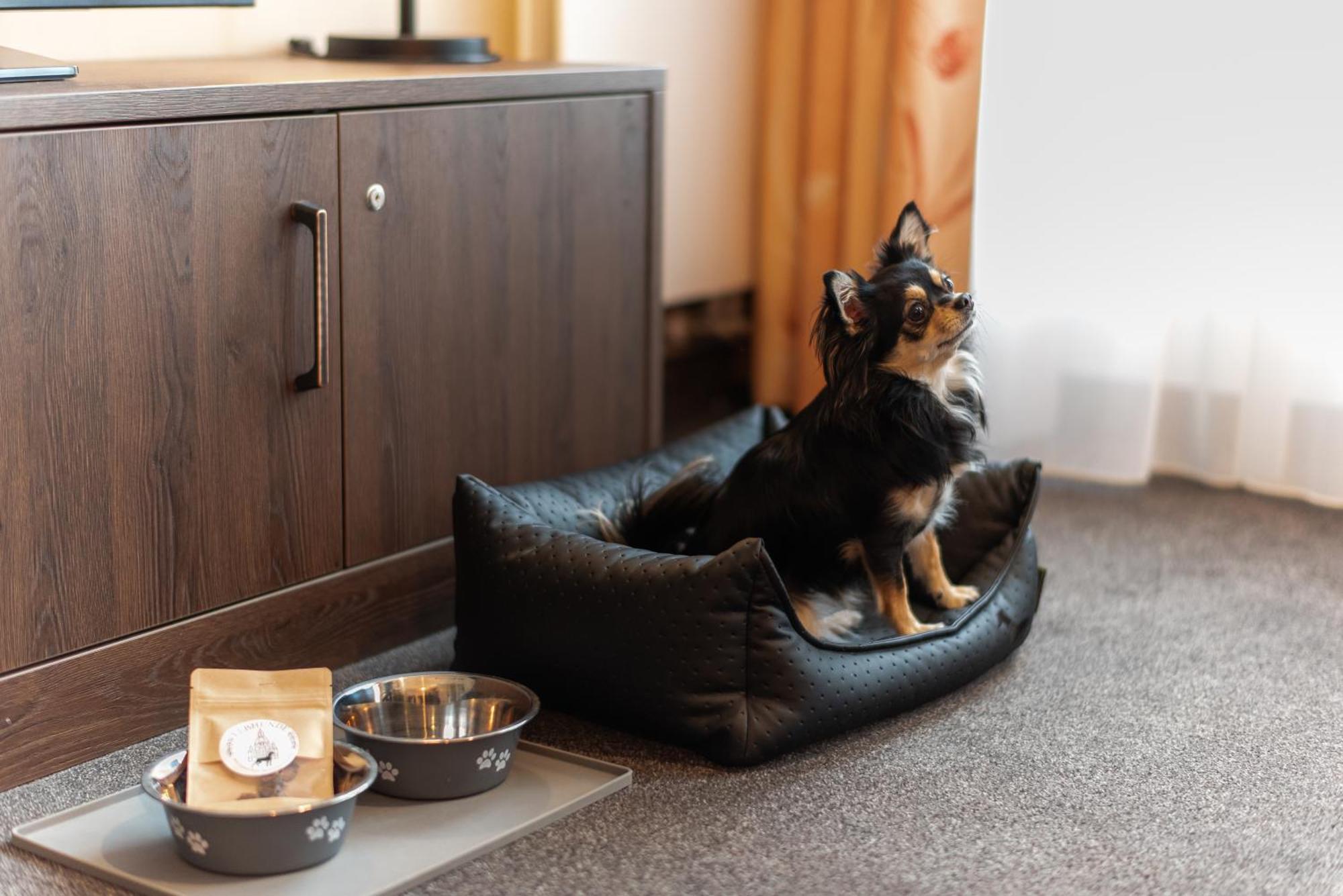 Familienapartment Mit Panoramablick Zur Frauenkirche Dresden Eksteriør bilde